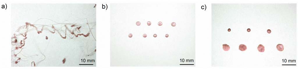 Materials 08 05267 g006 1024