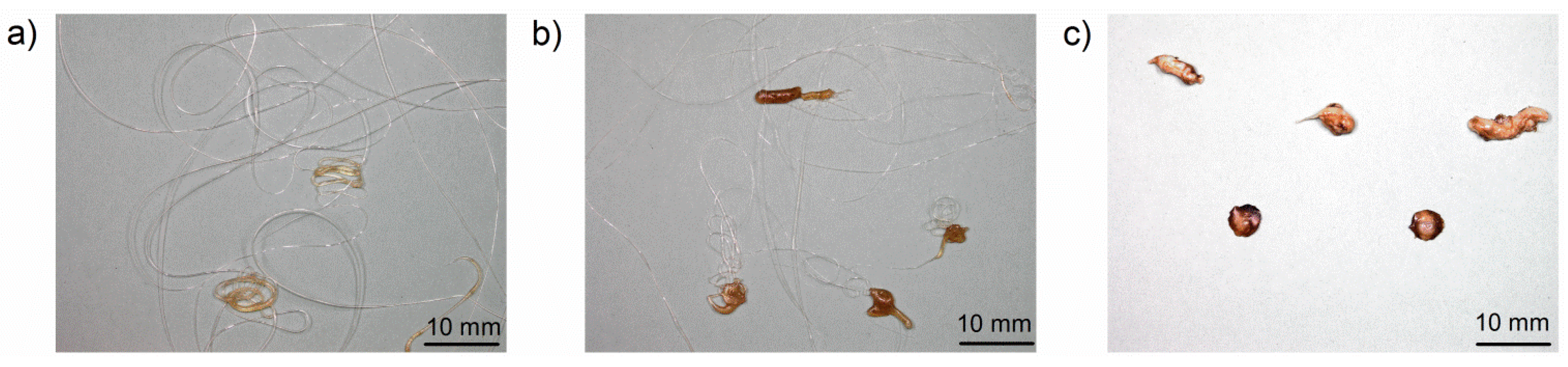 Materials 08 05267 g008