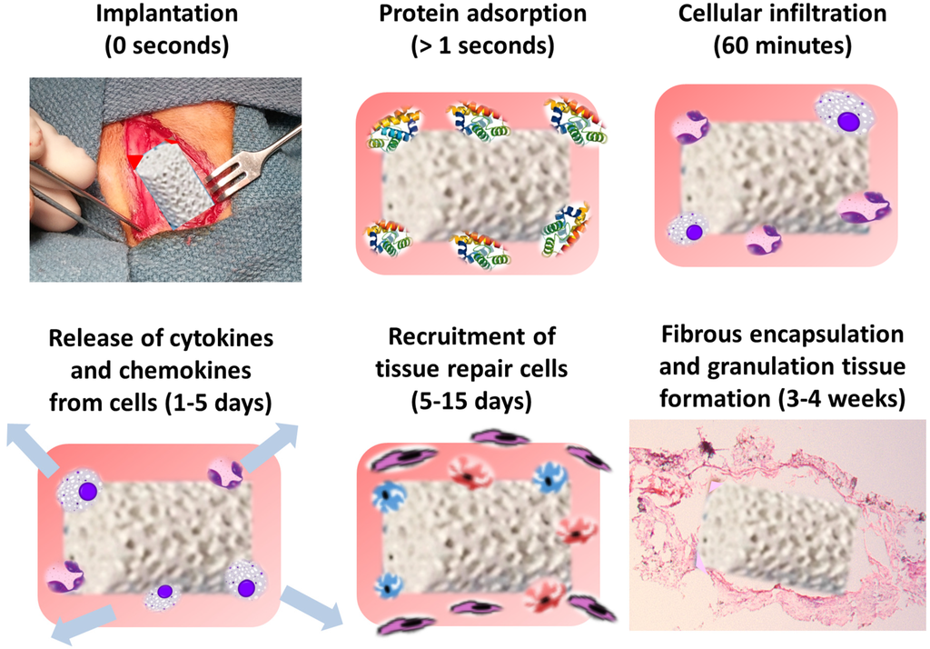 Materials 08 05269 g003 1024