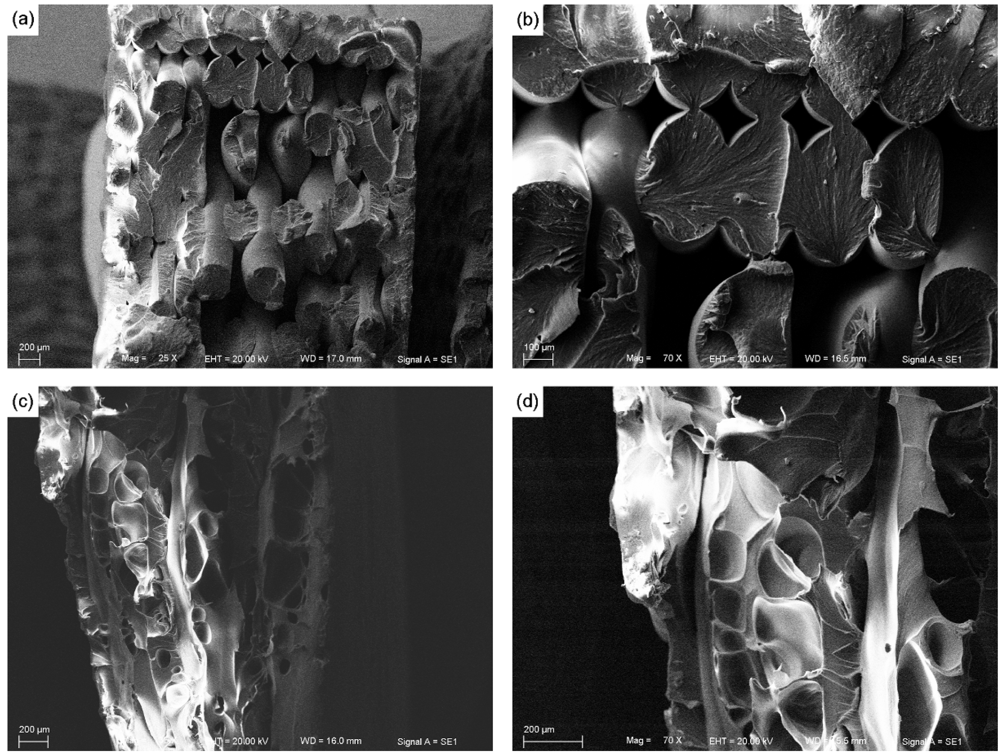 Materials 08 05271 g006