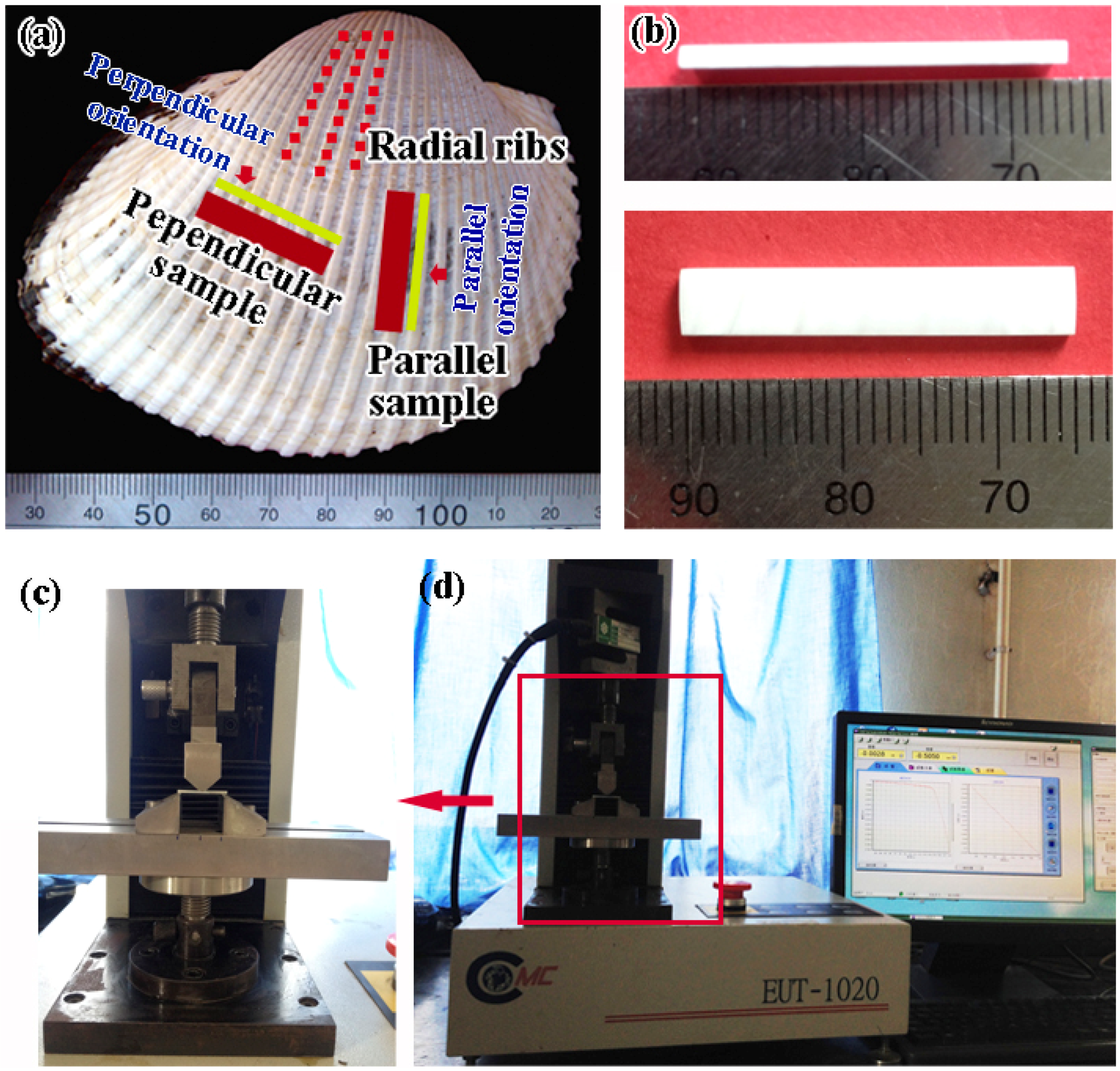Materials 08 05298 g001