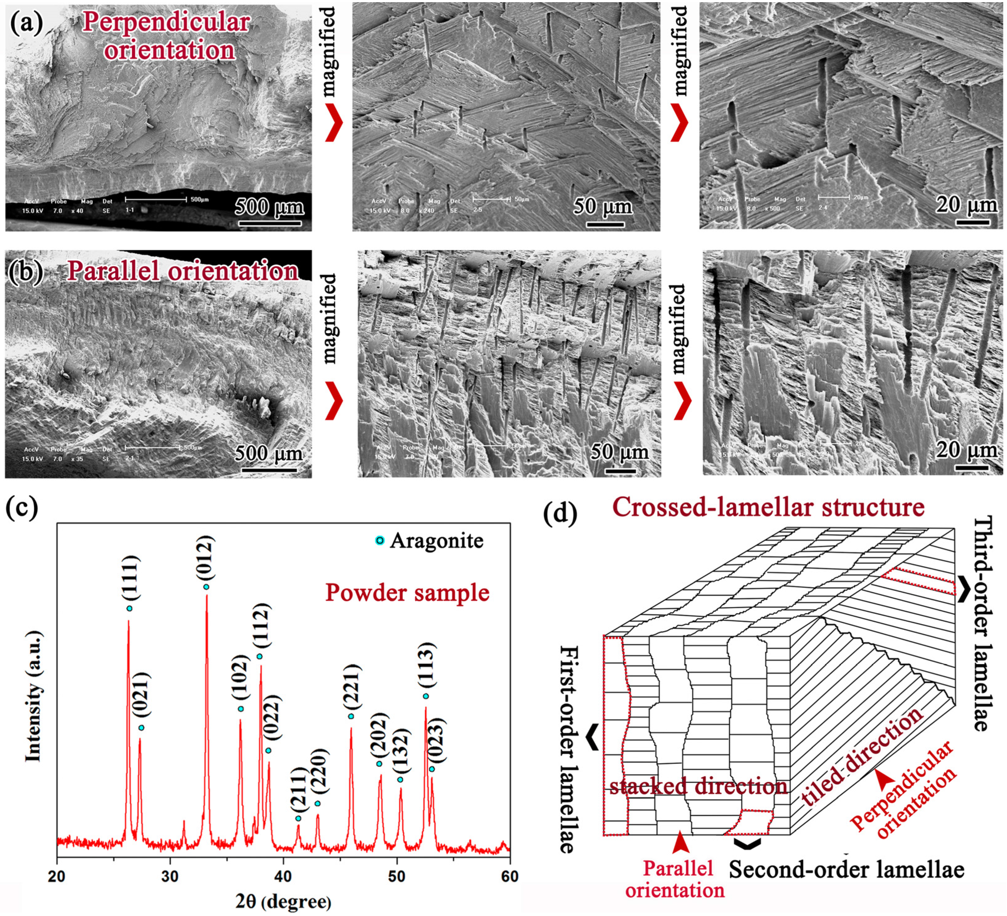Materials 08 05298 g002