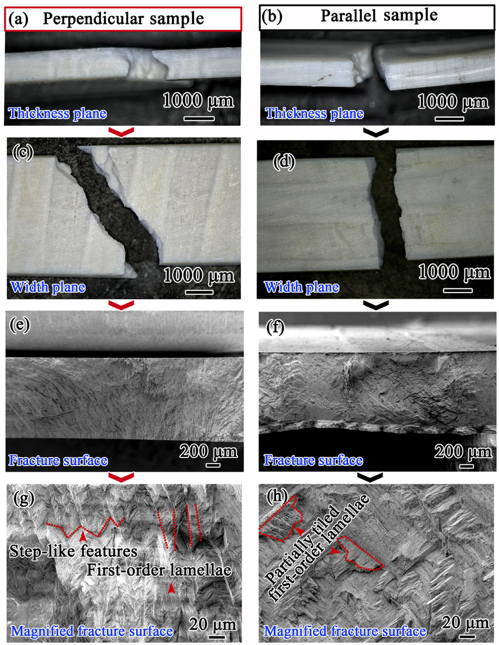 Materials 08 05298 g004 1024