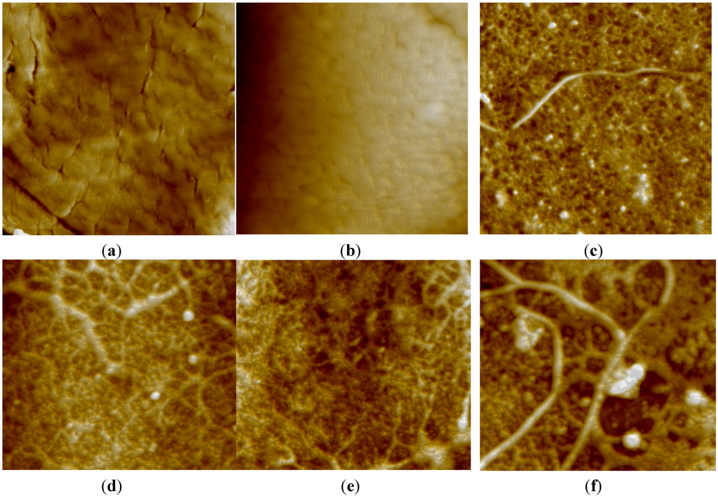 Materials 08 05313 g001 1024