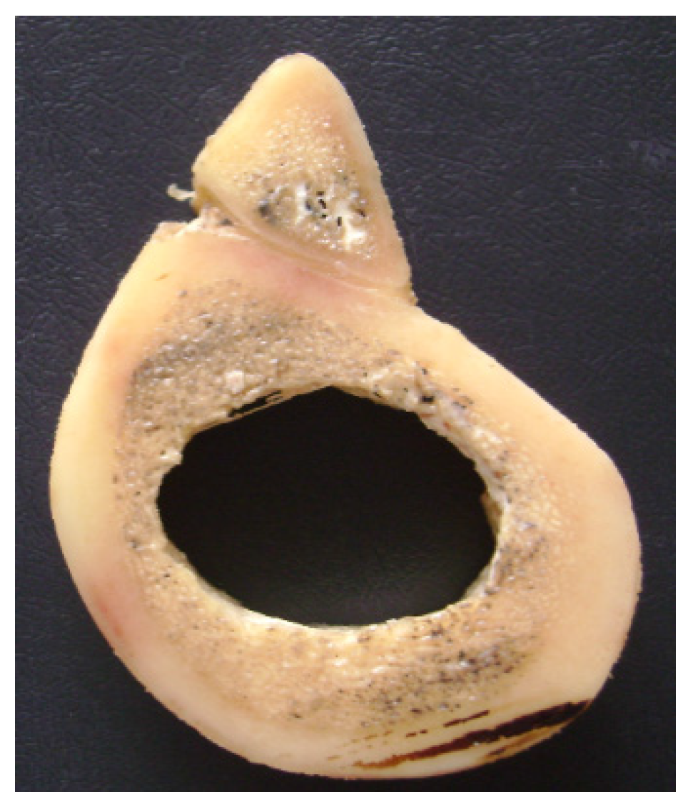 Materials 08 05322 g002 1024