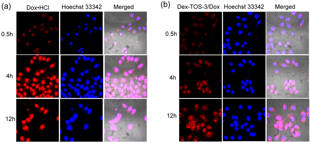 Materials 08 05332 g007 1024