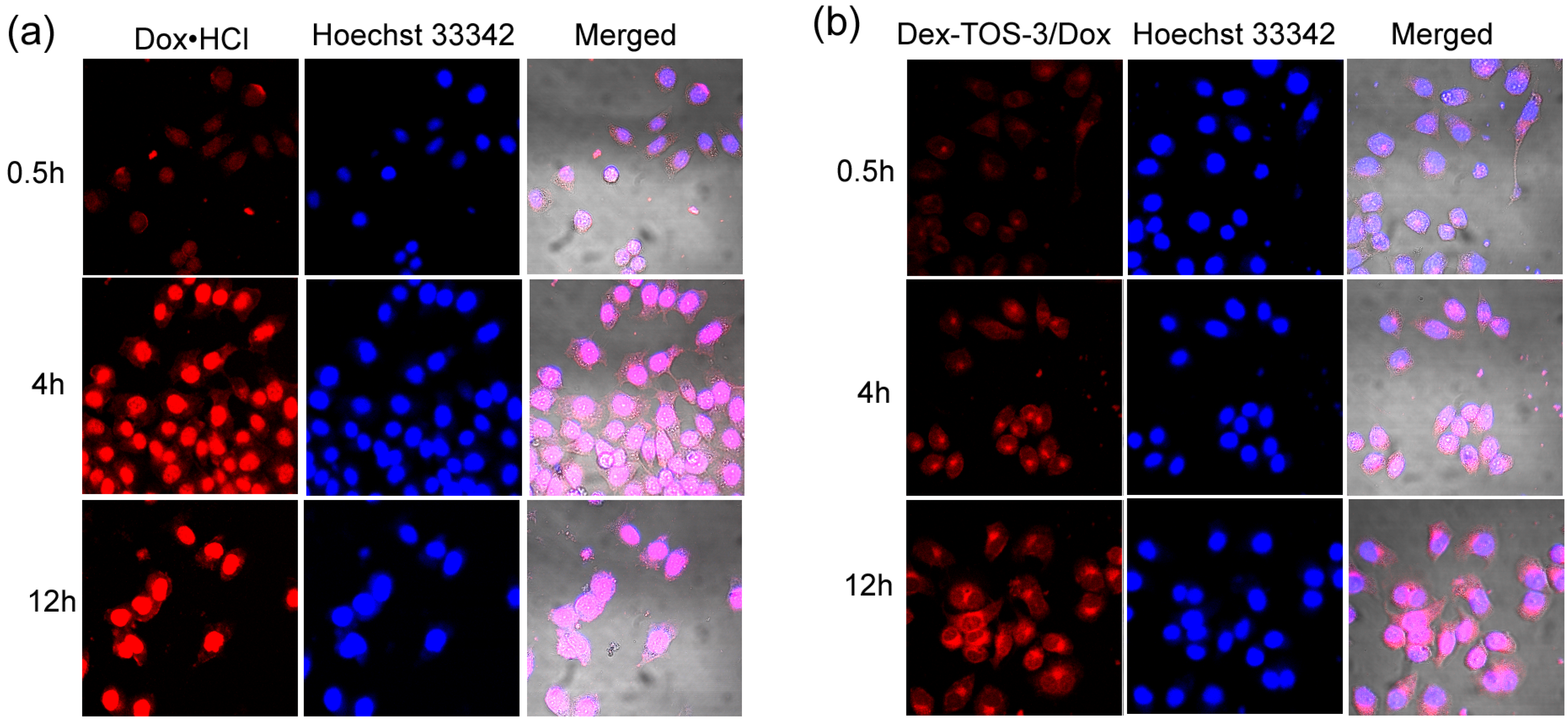 Materials 08 05332 g007