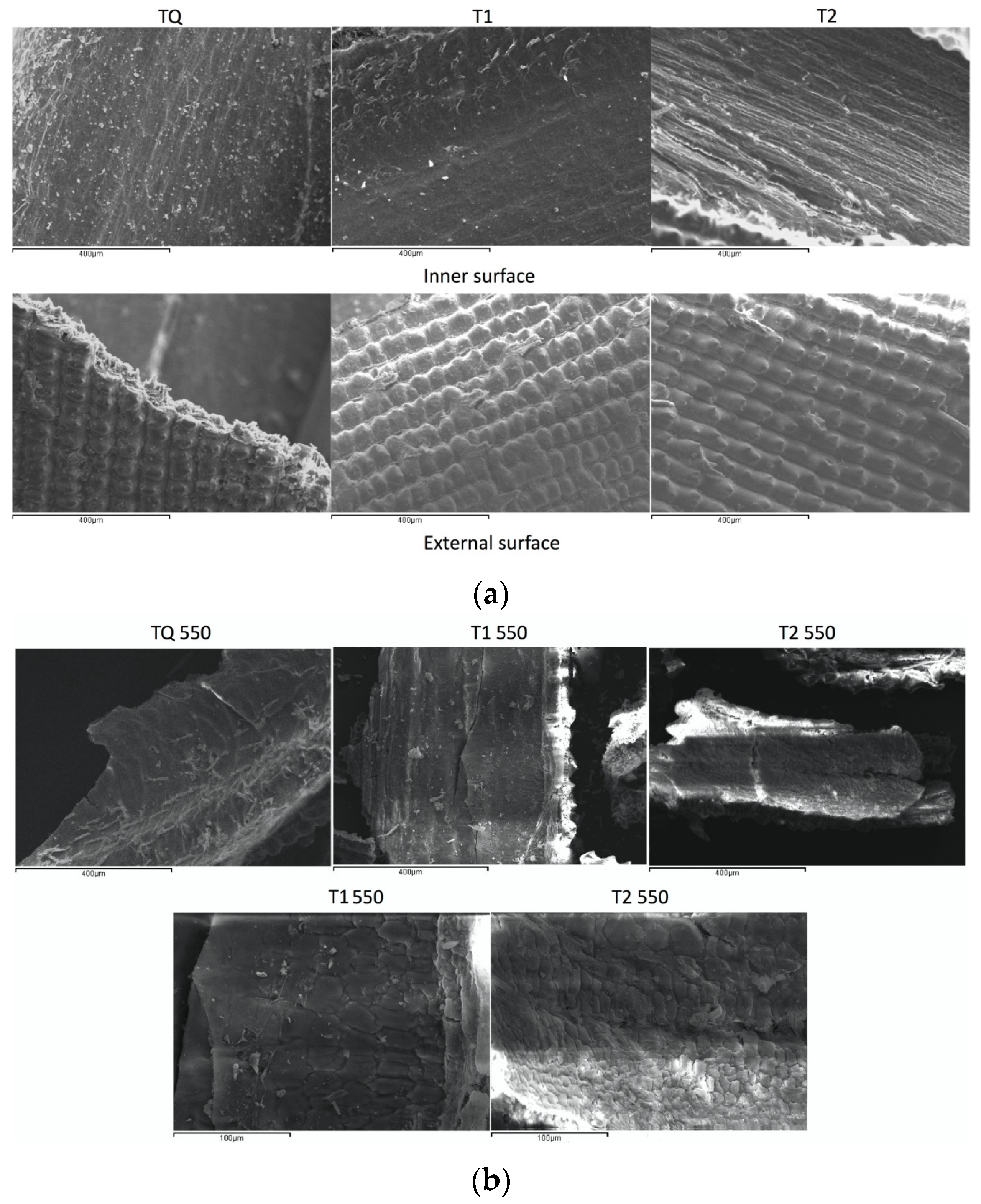 Materials 08 05346 g004