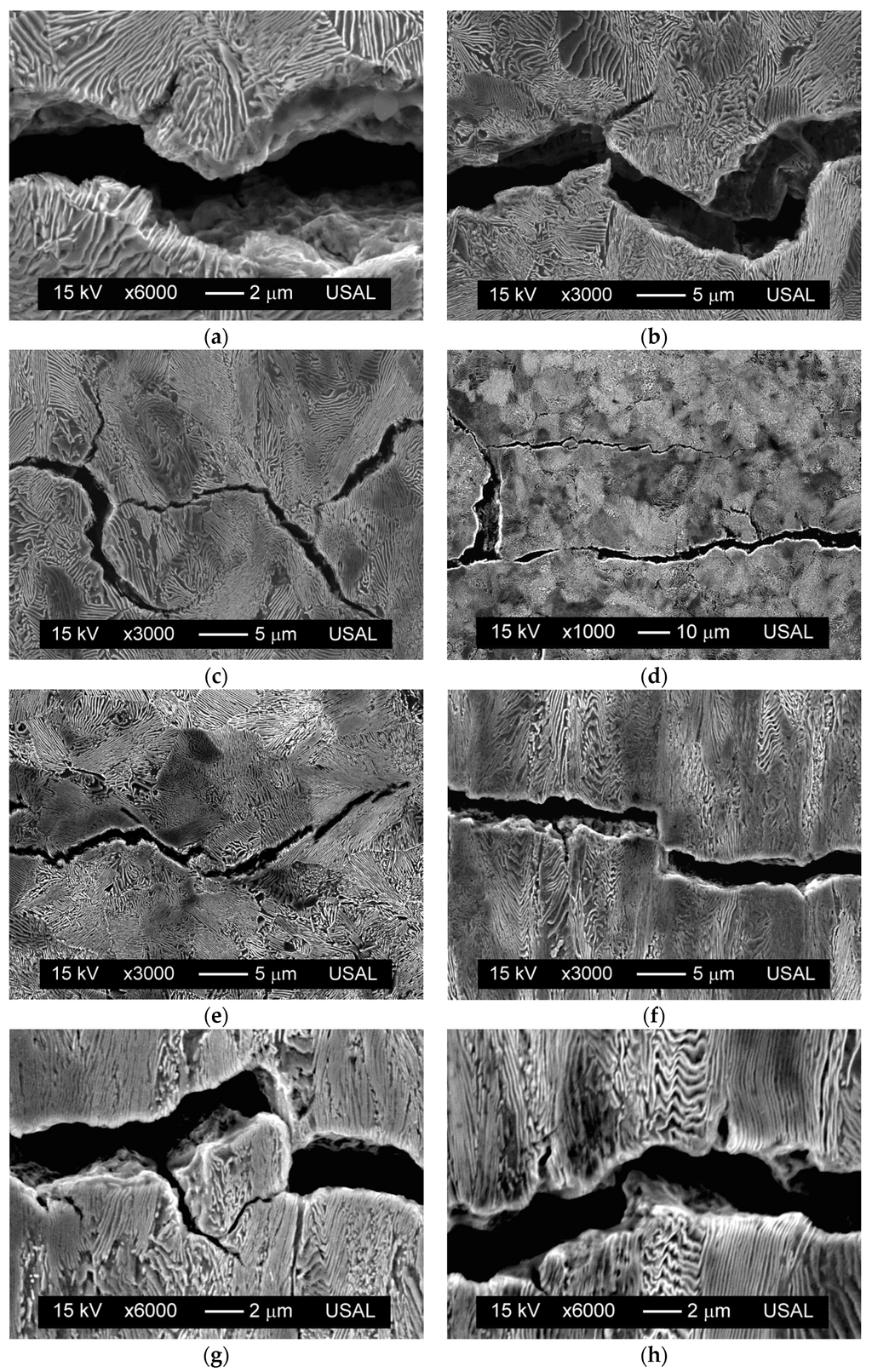 Materials 08 05388 g003 1024