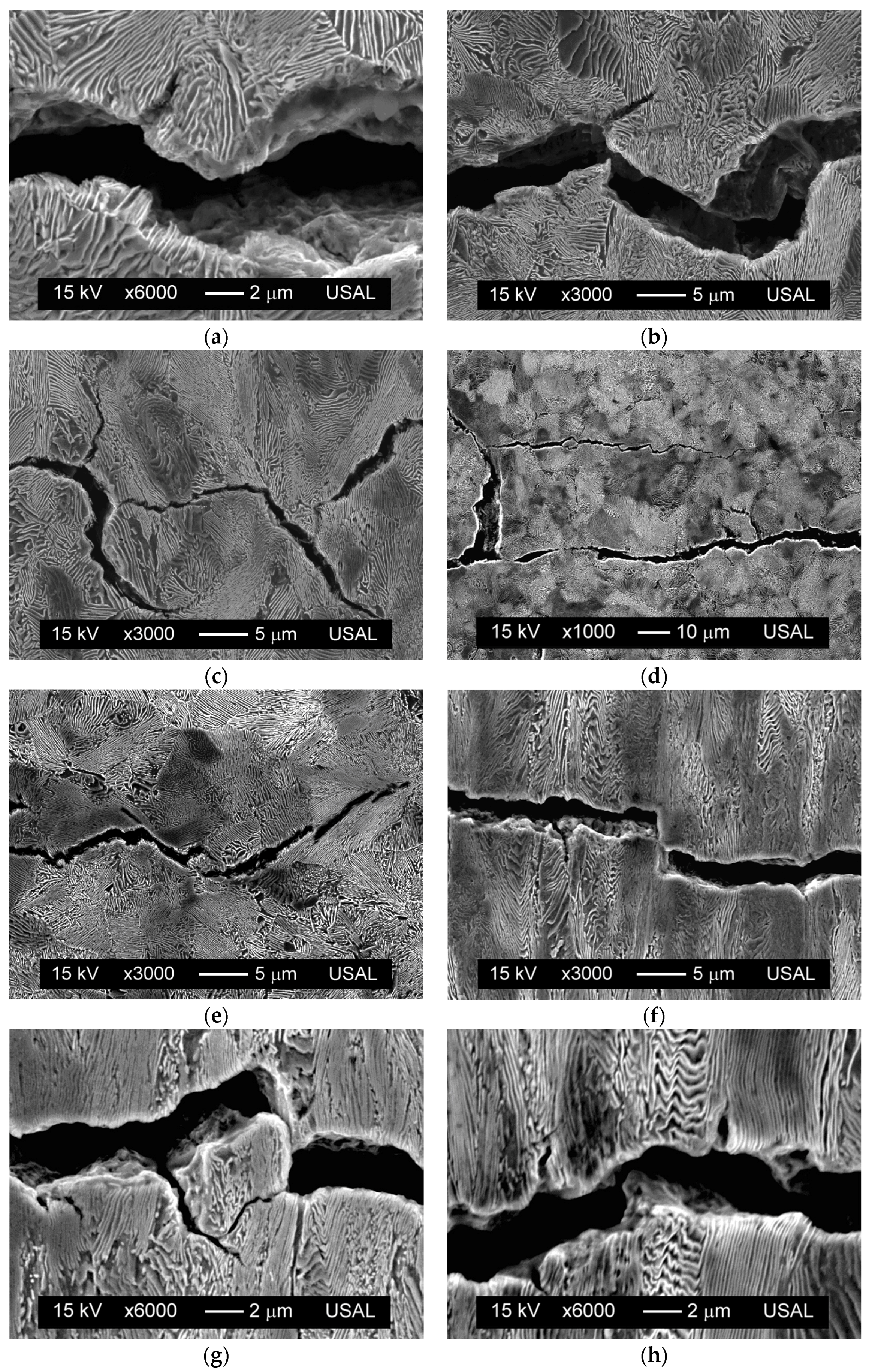 Materials 08 05388 g003