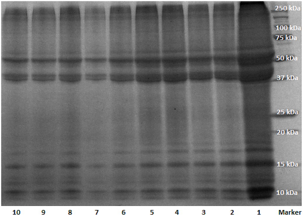 Materials 08 05392 g001 1024