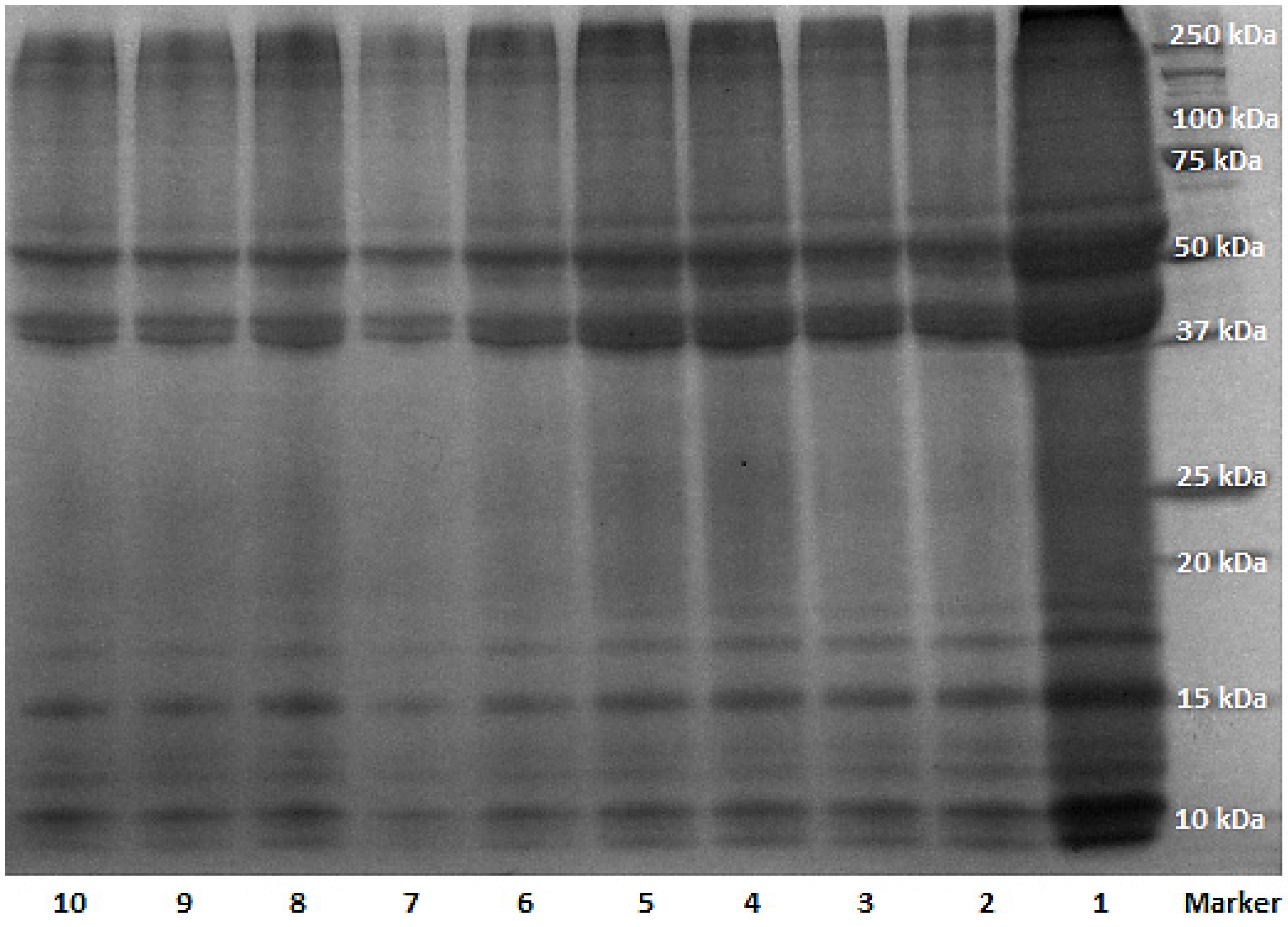 Materials 08 05392 g001