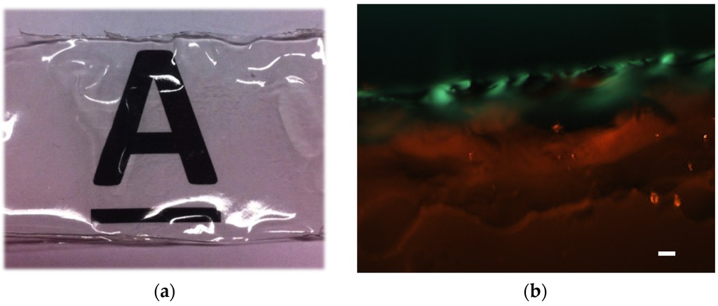 Materials 08 05392 g005 1024