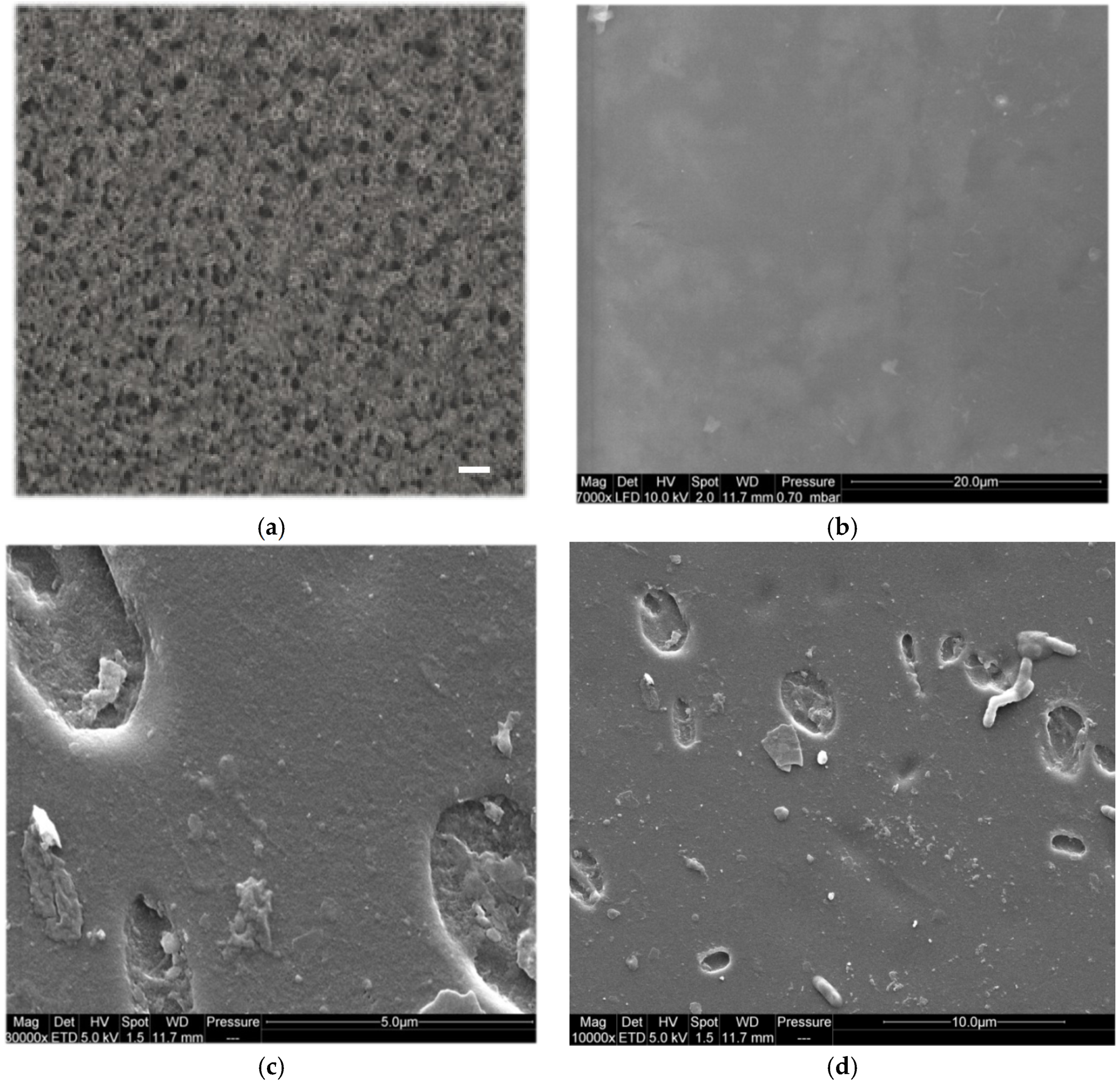 Materials 08 05392 g006