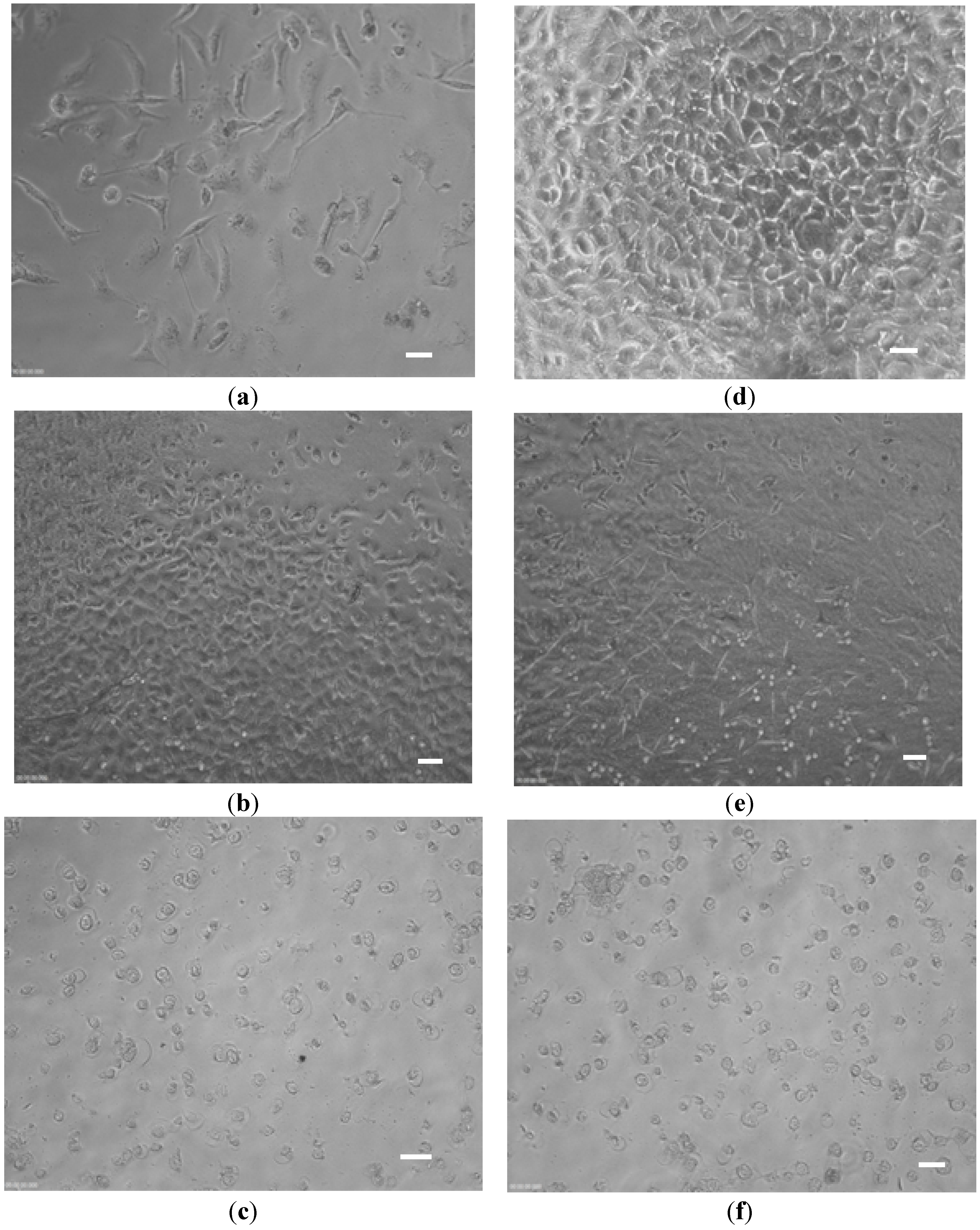 Materials 08 05392 g008