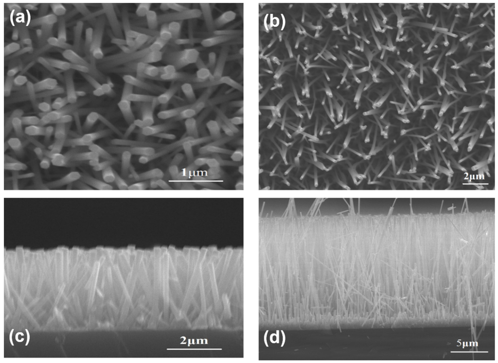 Materials 08 05393 g002 1024