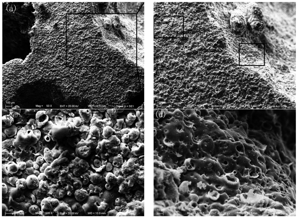 Materials 08 05395 g003 1024