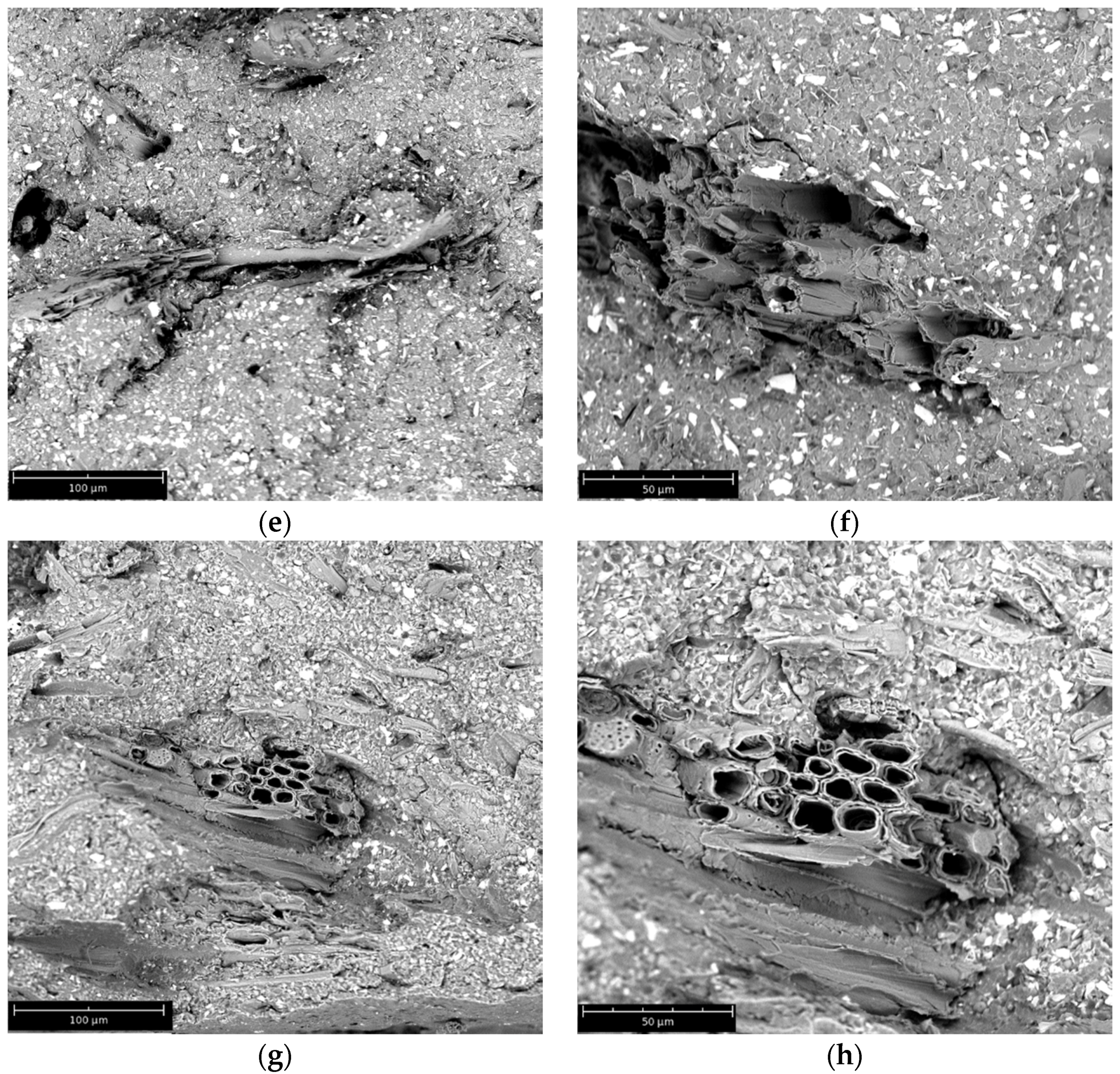 Materials 08 05406 g005b