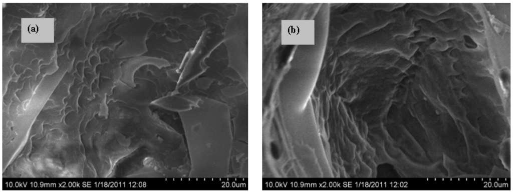 Materials 08 05408 g002 1024