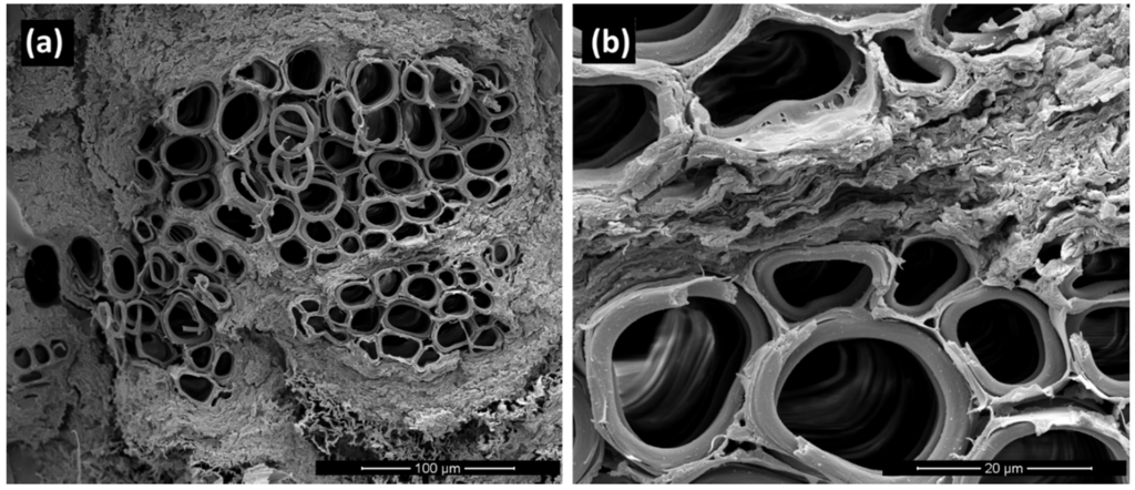 Materials 08 05422 g004 1024