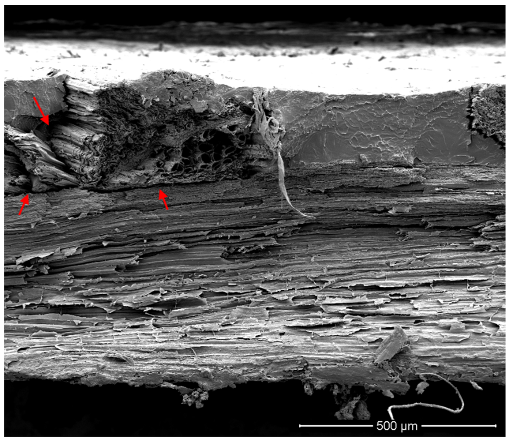 Materials 08 05422 g006 1024