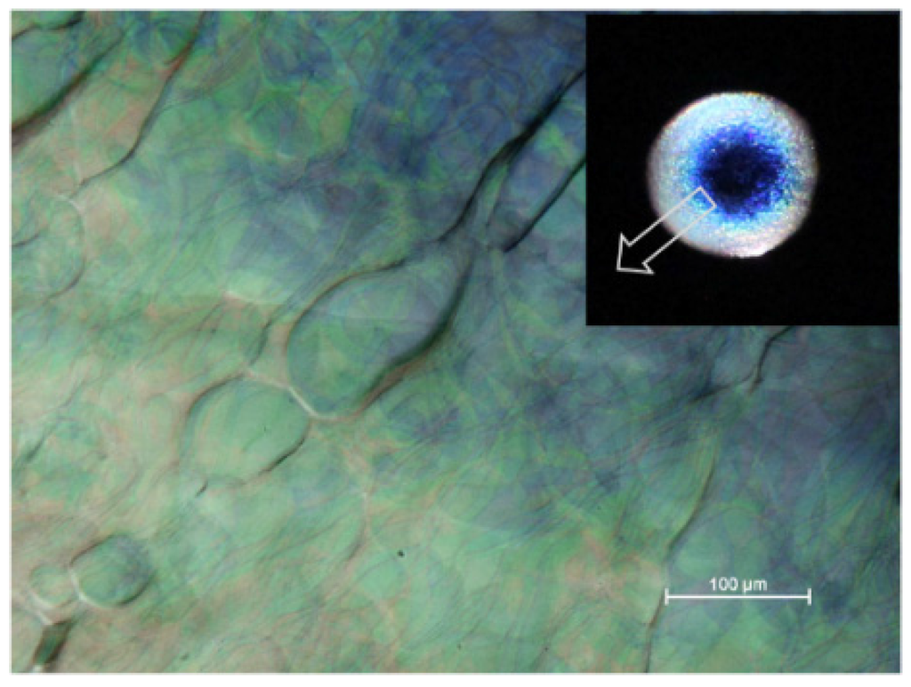 Materials 08 05427 g011 1024