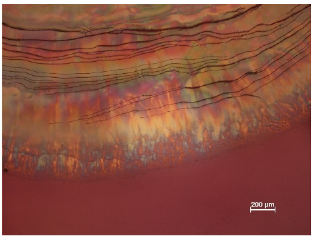 Materials 08 05427 g019 1024