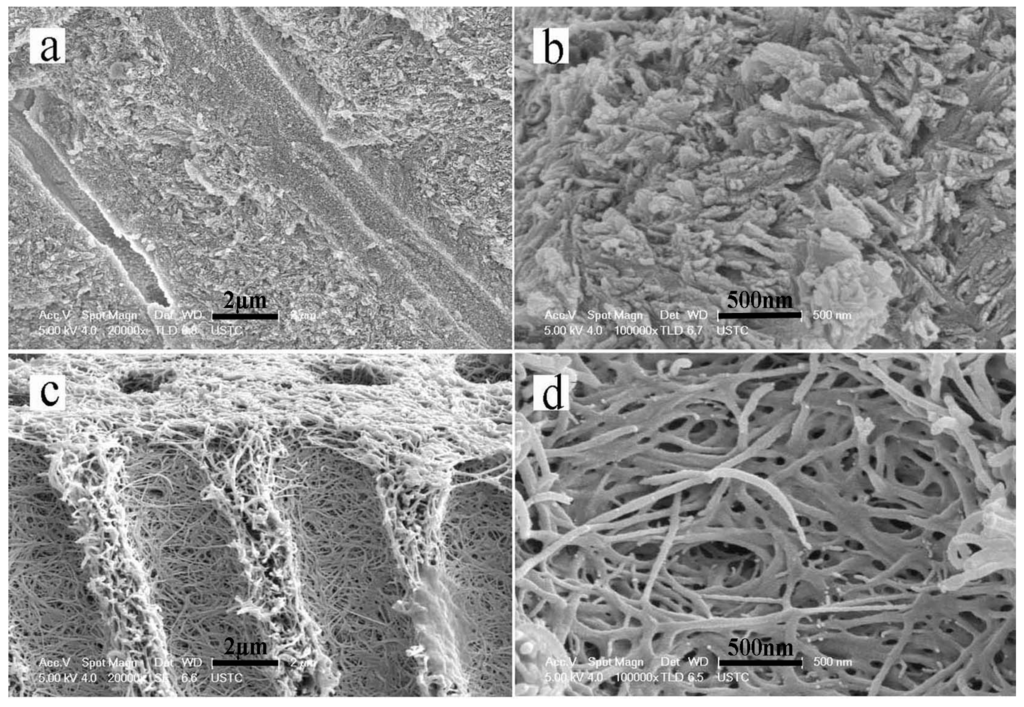 Materials 08 05433 g002 1024