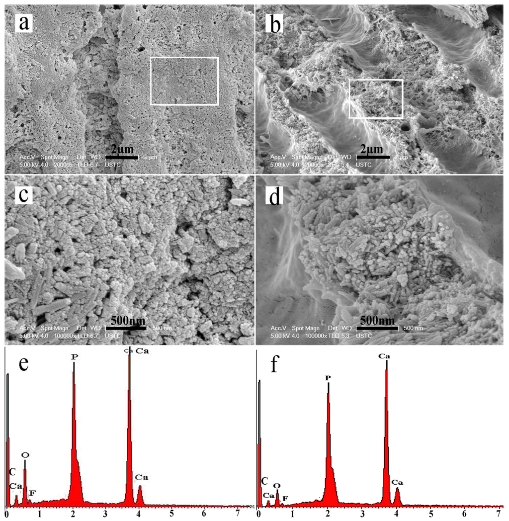 Materials 08 05433 g004 1024