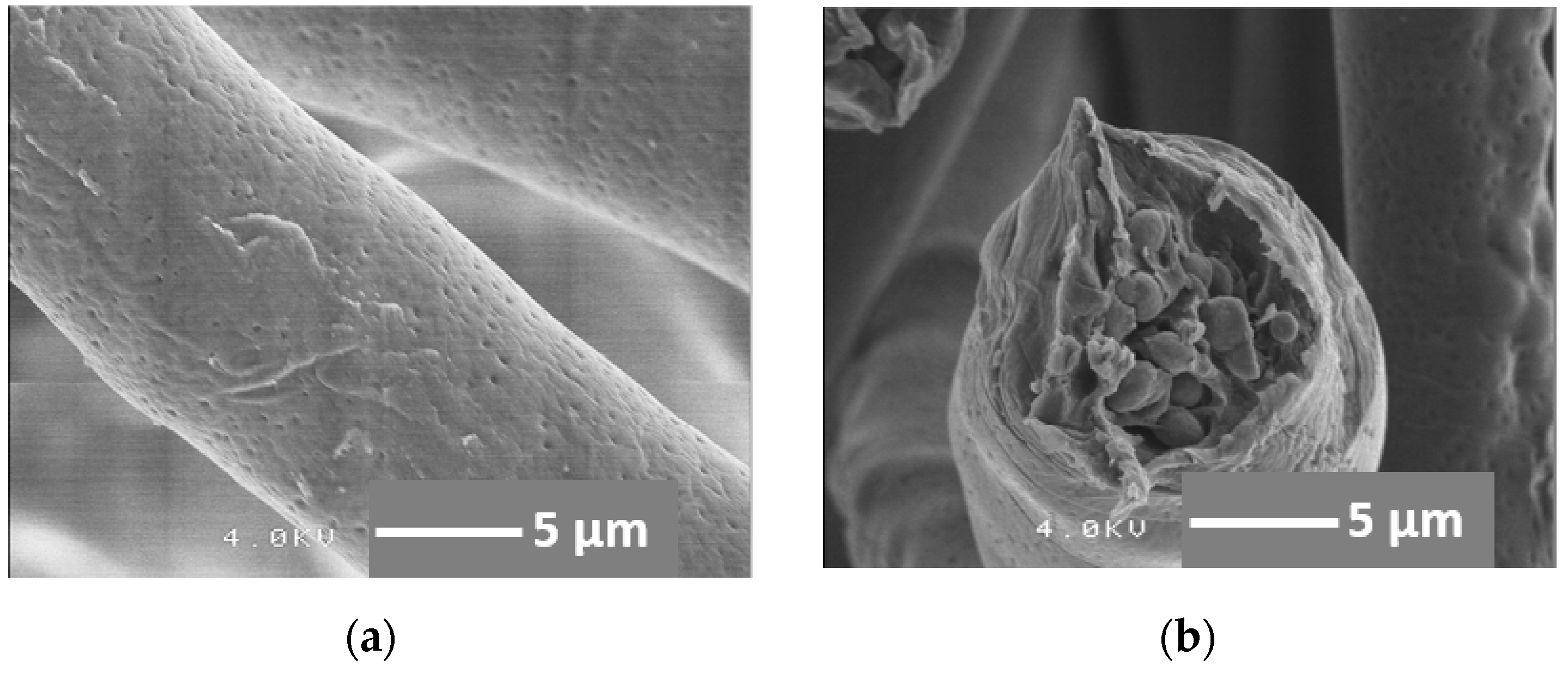 Materials 08 05434 g002