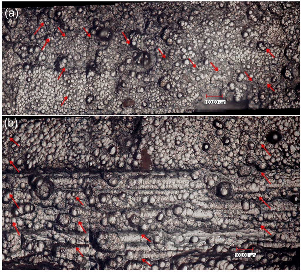 Materials 08 05474 g005a 1024