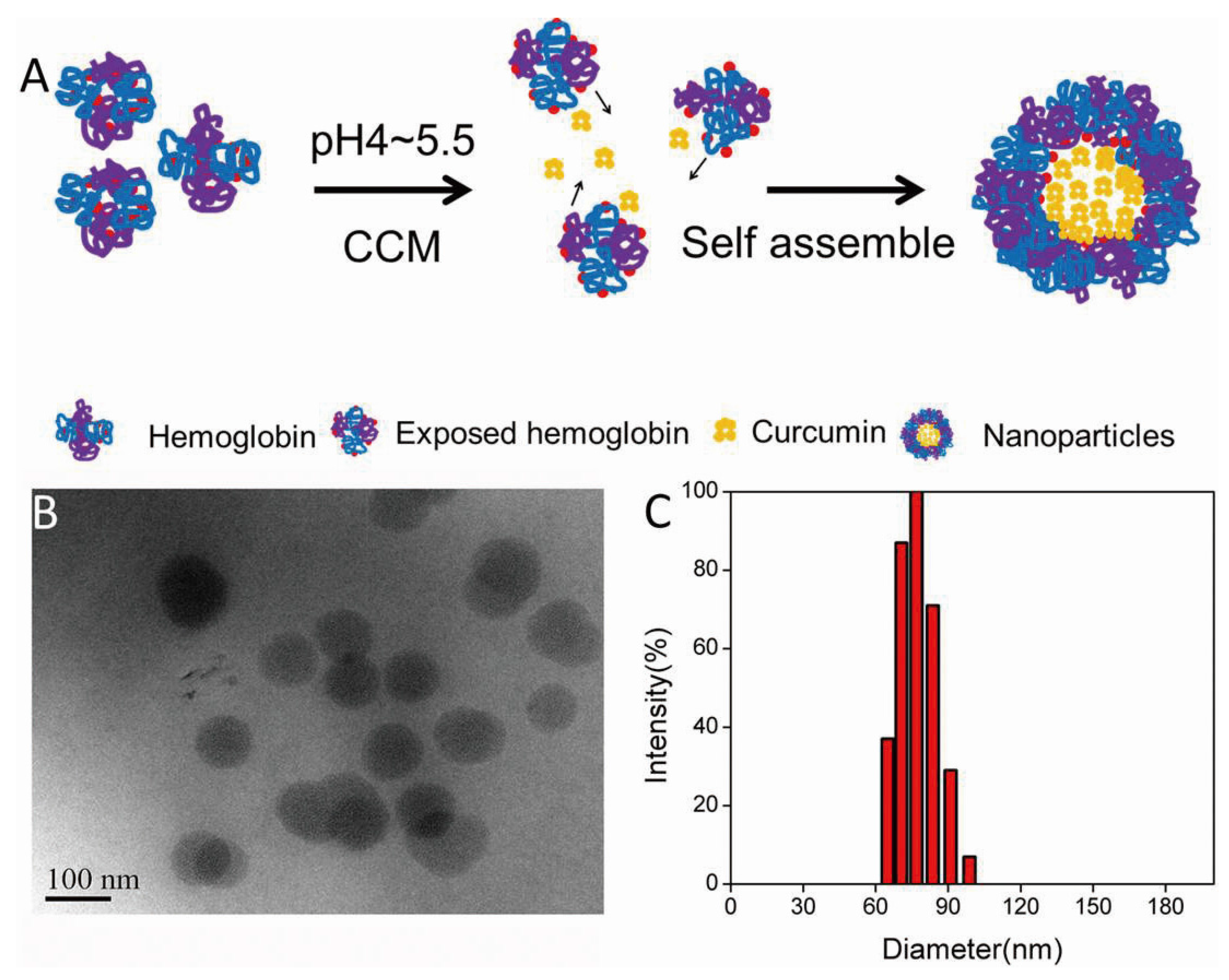 Materials 08 05486 g002