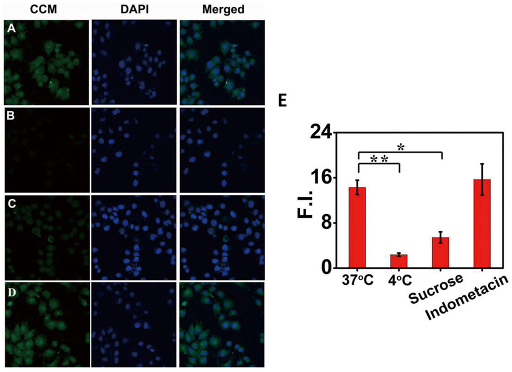 Materials 08 05486 g005 1024