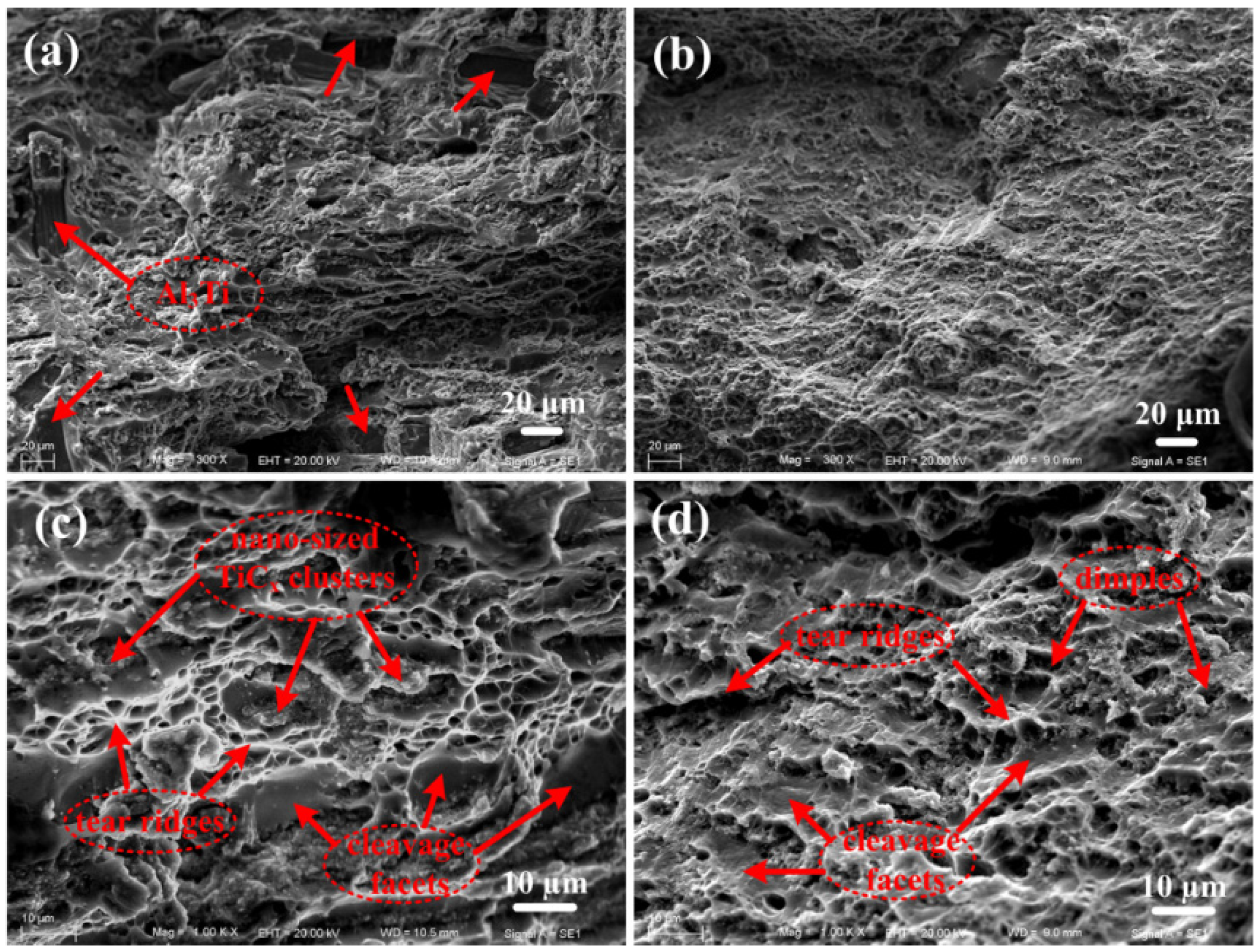 Materials 08 05495 g005