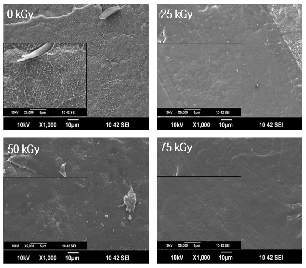 Materials 09 00013 g004 1024