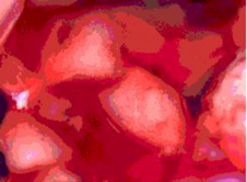 Materials 09 00024 i003