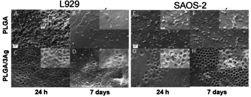 Materials 09 00037 g005 1024