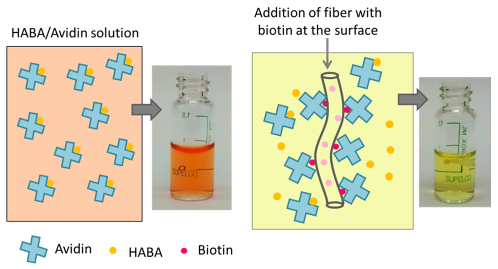 Materials 09 00047 g005 1024
