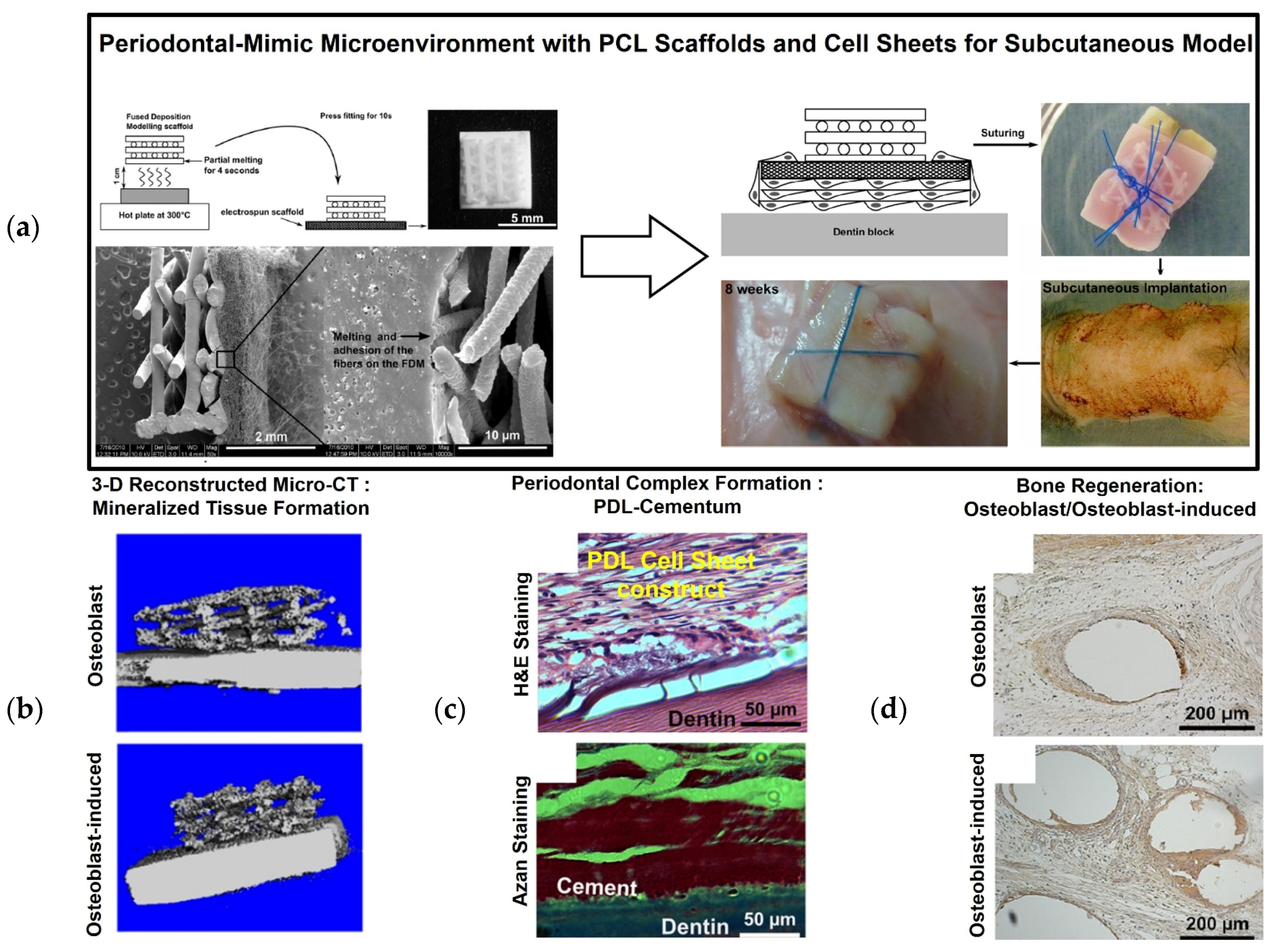 Materials 09 00057 g003