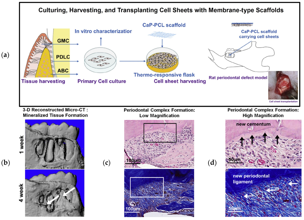 Materials 09 00057 g004 1024