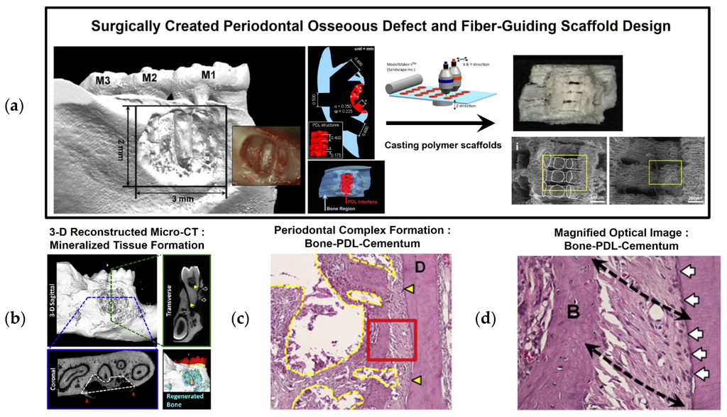 Materials 09 00057 g006 1024