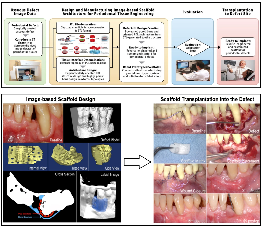 Materials 09 00057 g007 1024