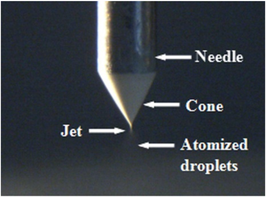 Materials 09 00061 g001 1024