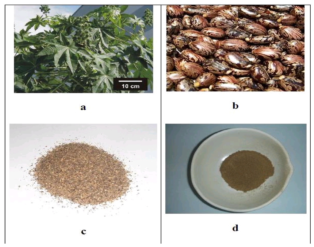 Materials 09 00076 g001 1024