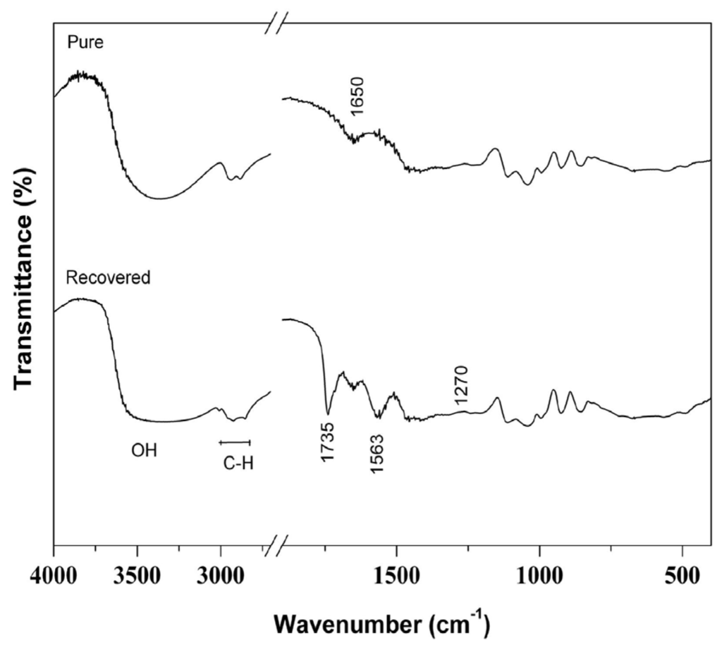 Materials 09 00076 g003 1024
