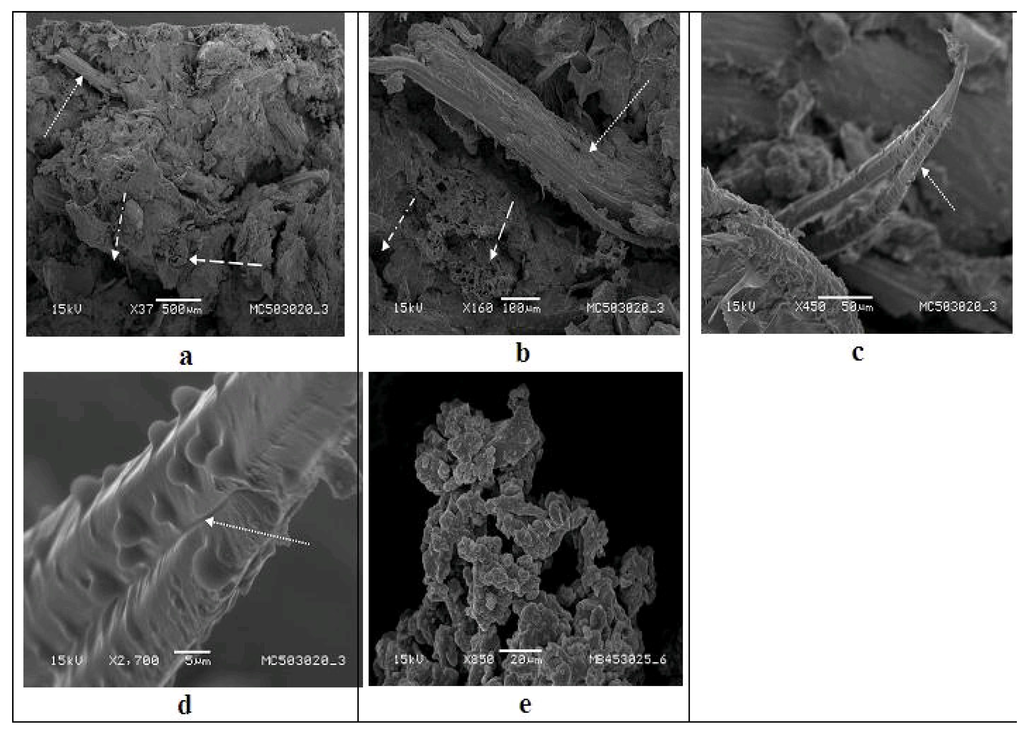 Materials 09 00076 g006 1024