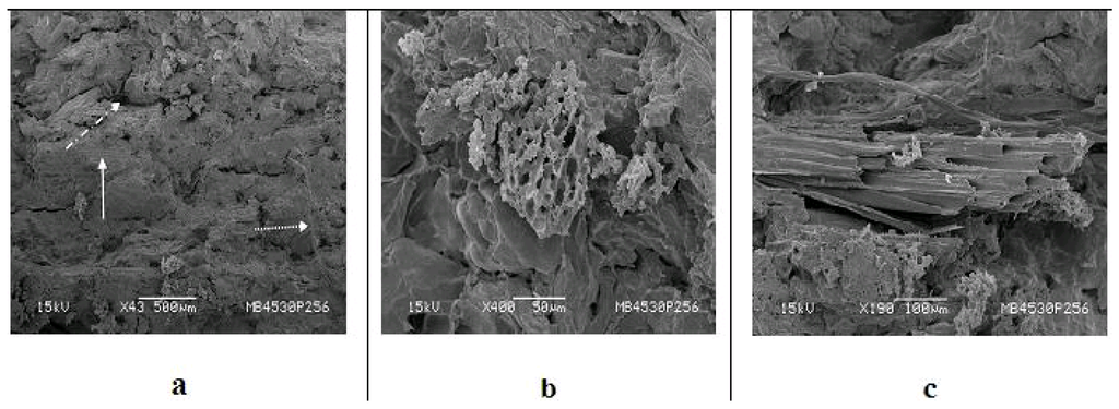 Materials 09 00076 g007 1024