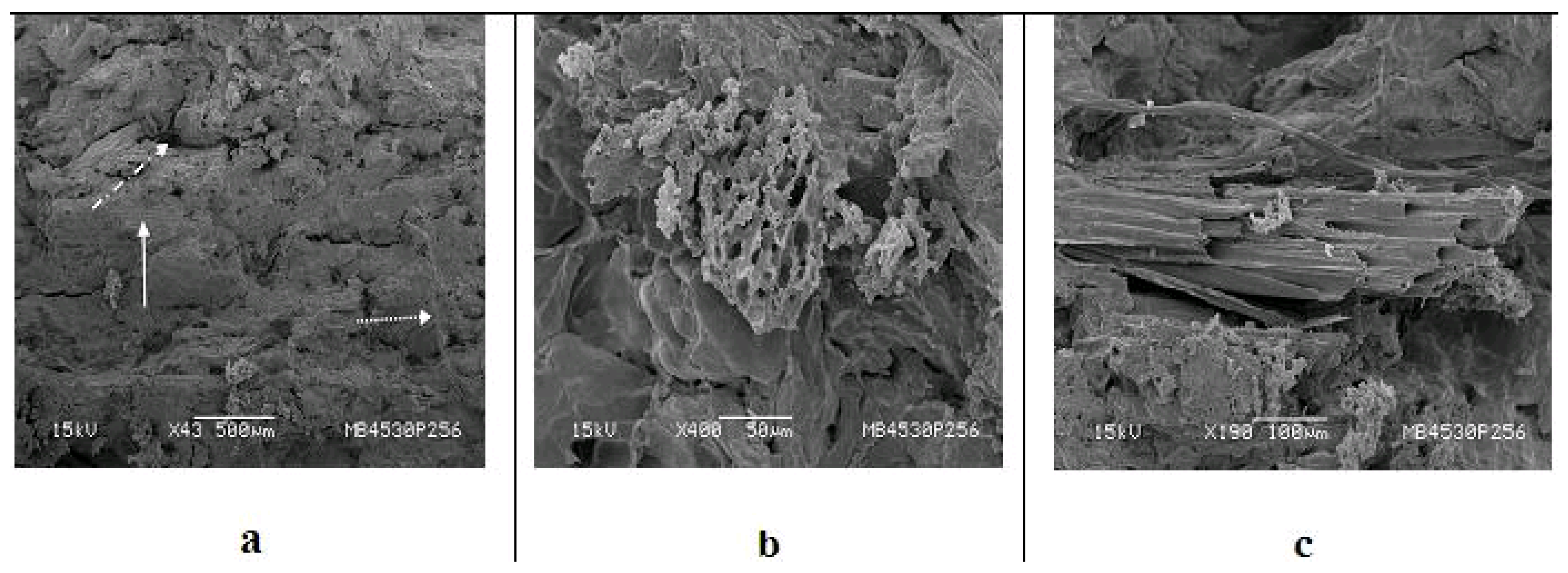 Materials 09 00076 g007