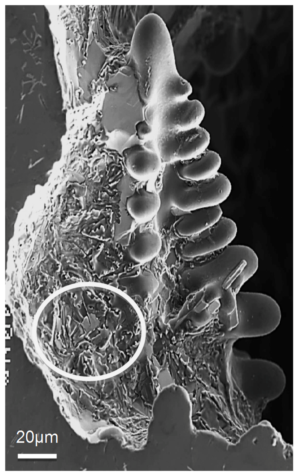 Materials 09 00078 g003 1024