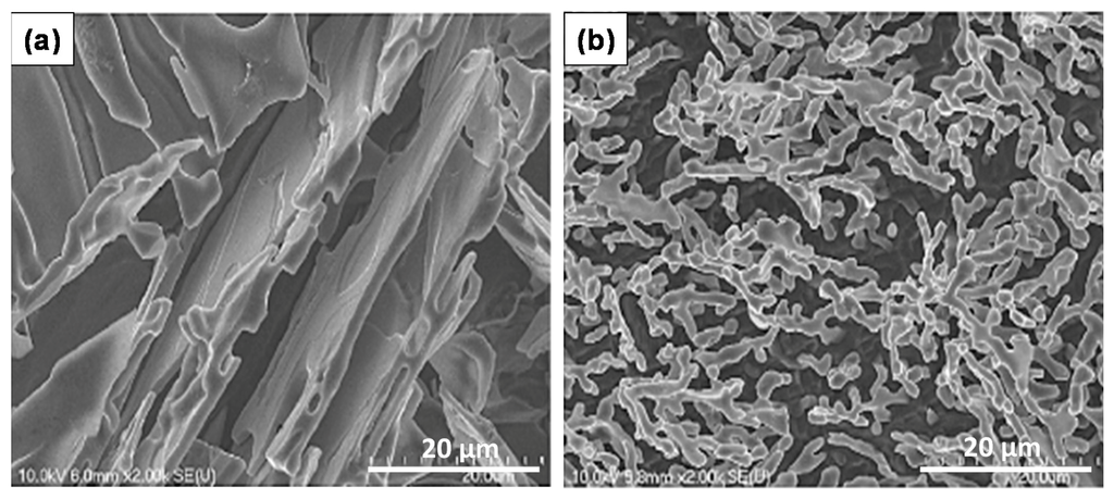 Materials 09 00078 g008 1024